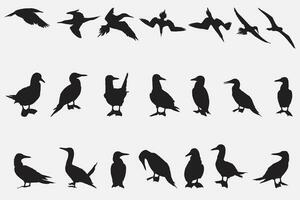 blauw voeten domoor vogel silhouet vector