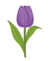 Purper tulp bloem icoon vector illustratie