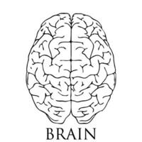 hersenen icoon illustratie vector