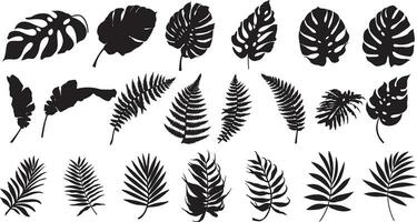silhouet tropisch bladeren, palm bladeren reeks zwart en wit vector illustratie. verzameling van exotisch palm bladeren.