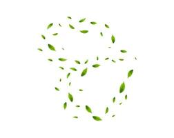 realistisch groen thee bladeren in beweging vector