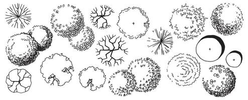 reeks van bomen, hand- tekening, top visie. bouwkundig inkt tekening, vector. vector