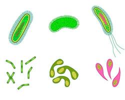 bacterie en virus cellen geïsoleerd. vector