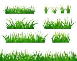 groen gras weide grens vector