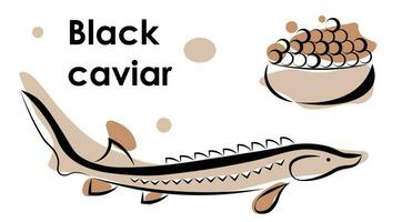 zwart kaviaar en steur Aan wit achtergrond vector
