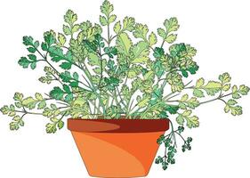 bloem pot vector illustratie