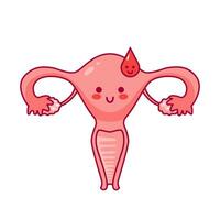 baarmoeder. schattig tekenfilm karakter in kawaii stijl. laten vallen van bloed, menstruatie. Dames Gezondheid. vrouw voortplantings- systeem, fiets. anatomie, baarmoederhals, eierstokken, eileider buizen. vector illustratie, vlak stijl