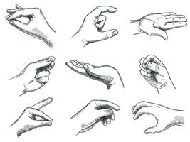 gegraveerde Holding hand- gebaar. houden in handen, wijnoogst hand- getrokken gebaren en houden in palm schetsen vector illustratie set.