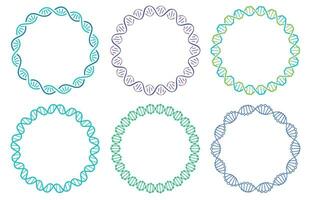 dna spiraal kader set. menselijk genoom schroef geïsoleerd Aan wit achtergrond. genetisch concept voor wetenschap of geneeskunde vector