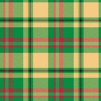 plaids patroon naadloos. controleur patroon voor sjaal, jurk, rok, andere modern voorjaar herfst winter mode textiel ontwerp. vector