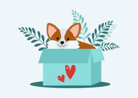 schattig hond in doos, tekenfilm puppy harten, Valentijnsdag dag kaart ontwerp. vrolijk huisdier, corgi ras. vector illustratie. achtergrond wit, geïsoleerd.