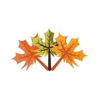 esdoorn- herfst blad illustratie vector