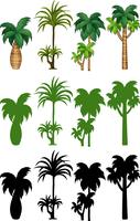 Set van palmboom ontwerp vector