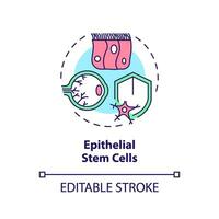 2d bewerkbare veelkleurig epitheliaal stam cellen icoon, gemakkelijk geïsoleerd vector, dun lijn illustratie vertegenwoordigen cel therapie. vector
