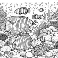 onderwater- wereld kleur boek hand- getrokken. oceaan leven kleur bladzijde zwart en wit vector illustratie
