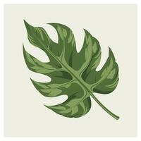 monstera groen blad tropisch oerwoud fabriek geïsoleerd Aan wit achtergrond vector