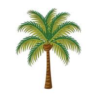 palm boom vector illustratie geïsoleerd Aan wit achtergrond