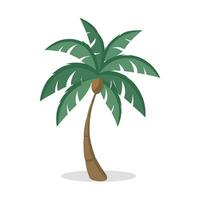 palm boom vector illustratie geïsoleerd Aan wit achtergrond