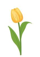 geel tulp bloem fabriek vector illustratie