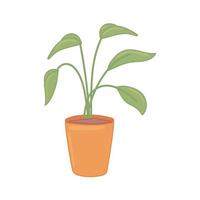 potplant naturel vector