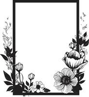 elegant noir bloemblad schetsen vector logo icoon minimalistisch bloemen elementen hand- weergegeven embleem