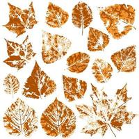 set van vectortekeningen met acrylverf. verzameling herfstbladeren vector