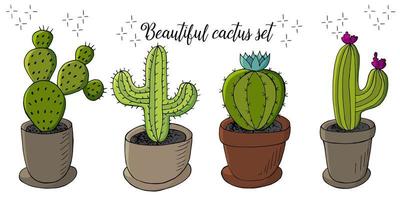 schattige vectorillustratie. cactussen, aloë, vetplanten. decoratieve natuurlijke elementen vector