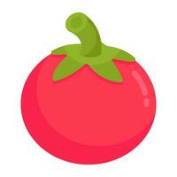 modern ontwerp icoon van tomaat vector