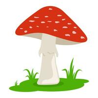 tekenfilm rood champignons Aan de gras geïsoleerd Aan wit achtergrond. Woud vergiftigen paddestoel. amanita in vlak stijl. vector illustratie