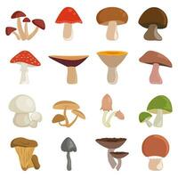 champignons vector illustratie reeks geïsoleerd Aan wit achtergrond. verschillend soorten van eetbaar en niet eetbaar tekenfilm champignons pictogrammen.