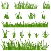 reeks van groen gras geïsoleerd Aan wit achtergrond. gras hoogten ontwerp elementen van natuur. gazon vector illustratie