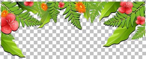 natuur planten frame raster achtergrond vector