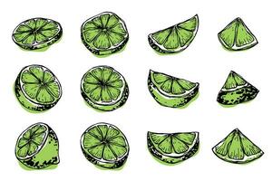 vector limoen clip art. hand- getrokken citrus set. fruit illustratie. voor afdrukken, web, ontwerp, decor