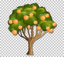 sinaasappelboom op rasterachtergrond vector