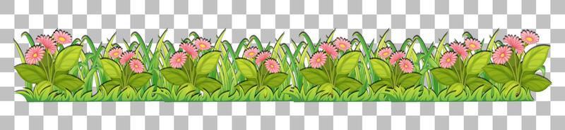 gras en planten op rasterachtergrond voor decor vector