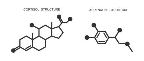 cortisol en adrenaline pictogrammen. hydrocortison en epinefrine chemisch moleculair structuur. spanning verwant hormonen geproduceerd door bijnier klieren vector