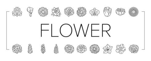 bloem voorjaar bloemen bloesem pictogrammen reeks vector