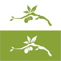 olijf- olie logo met een combinatie van bladeren en fruit vector