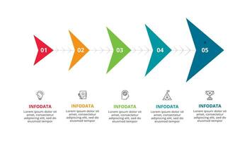 creatief concept voor infographic met 5 stappen, opties, onderdelen of processen. bedrijf gegevens visualisatie. vector