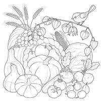 herfst oogst groenten en fruit met vogel. zwart en wit vector