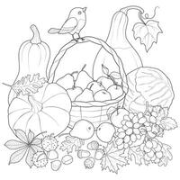 herfst oogst groenten en fruit met vogel. zwart en wit vector