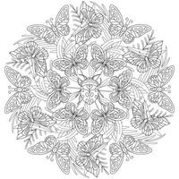 mandala met bloemen, bladeren en vlinders Aan een wit achtergrond. vector