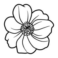 hand- getrokken gemakkelijk bloem illustratie vector