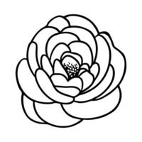 hand- getrokken gemakkelijk bloem illustratie vector