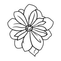 hand- getrokken gemakkelijk bloem illustratie vector