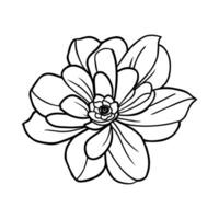 hand- getrokken gemakkelijk bloem illustratie vector