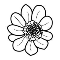 hand- getrokken gemakkelijk bloem illustratie vector