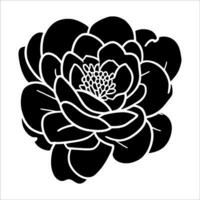 hand- getrokken gemakkelijk bloem illustratie vector