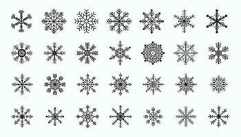groot reeks van winter seizoen sneeuw vlok elementen voor Kerstmis ontwerp vector
