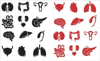 menselijk intern organen. vector schetsen geïsoleerd illustratie. hand- getrokken tekening anatomie symbolen set.